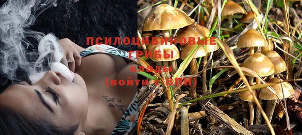 прущая мука Новозыбков